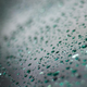 Illustration for article titled Shooting Challenge: Bokeh, Gallery 3